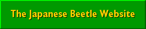 The Japanese Beetle WebSite