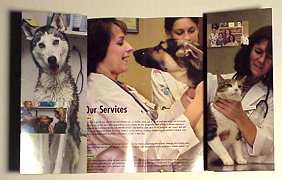 Jamestown Veterinary